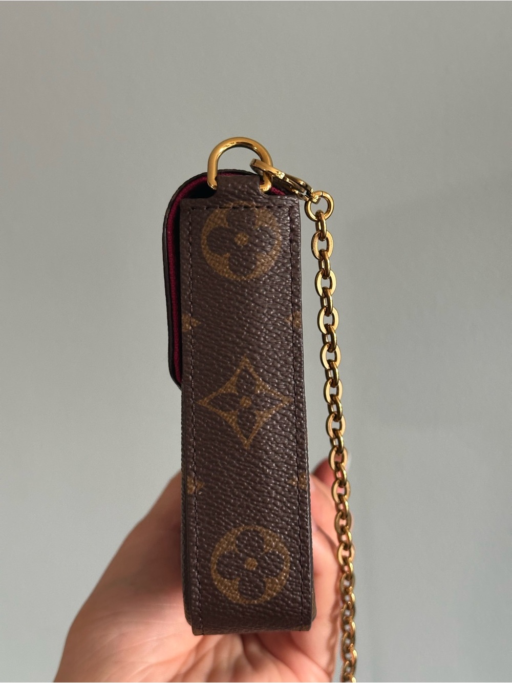 Louis Vuitton Monogram Pochette Félicie One Insert & dust bag - Picture 7 of 17